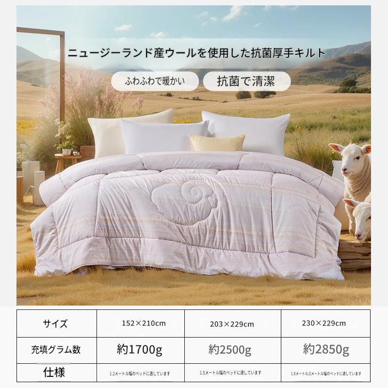 富安娜 ニュージーランド産ウール掛け布団｜高保温 羊毛布団｜冬用・四季対応 | FIRSTSING